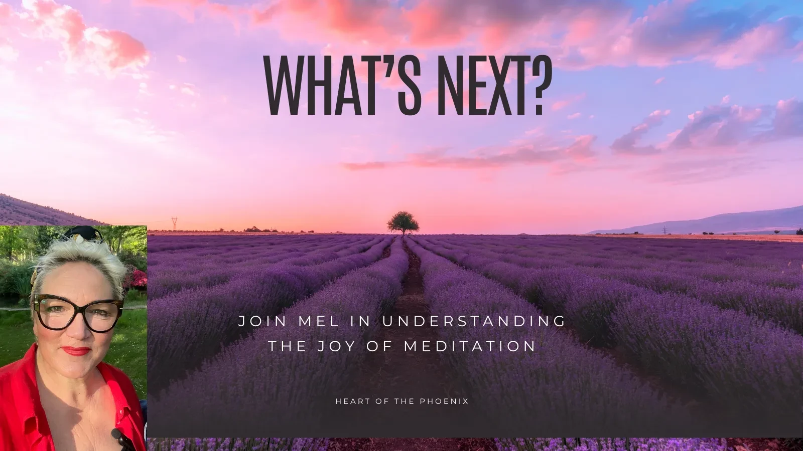 What's next? lesson poster