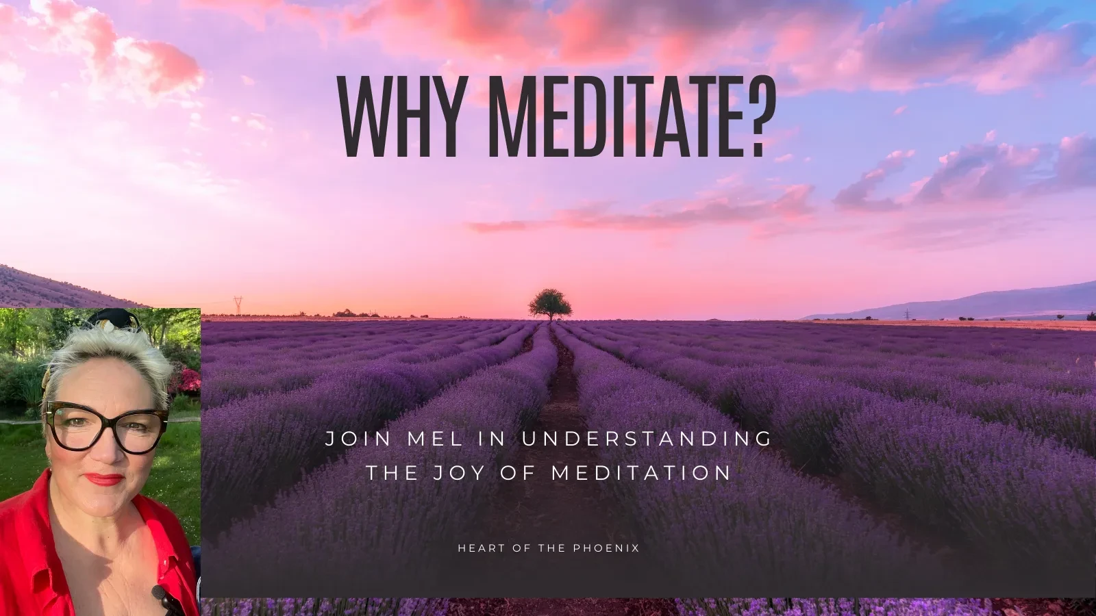 Why Meditate? lesson poster