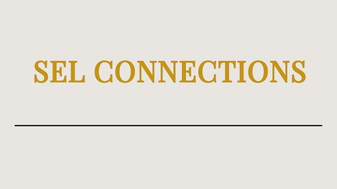 SEL Connections lesson poster