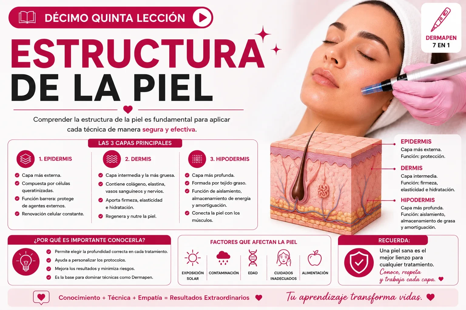 Estructura de la piel lesson poster