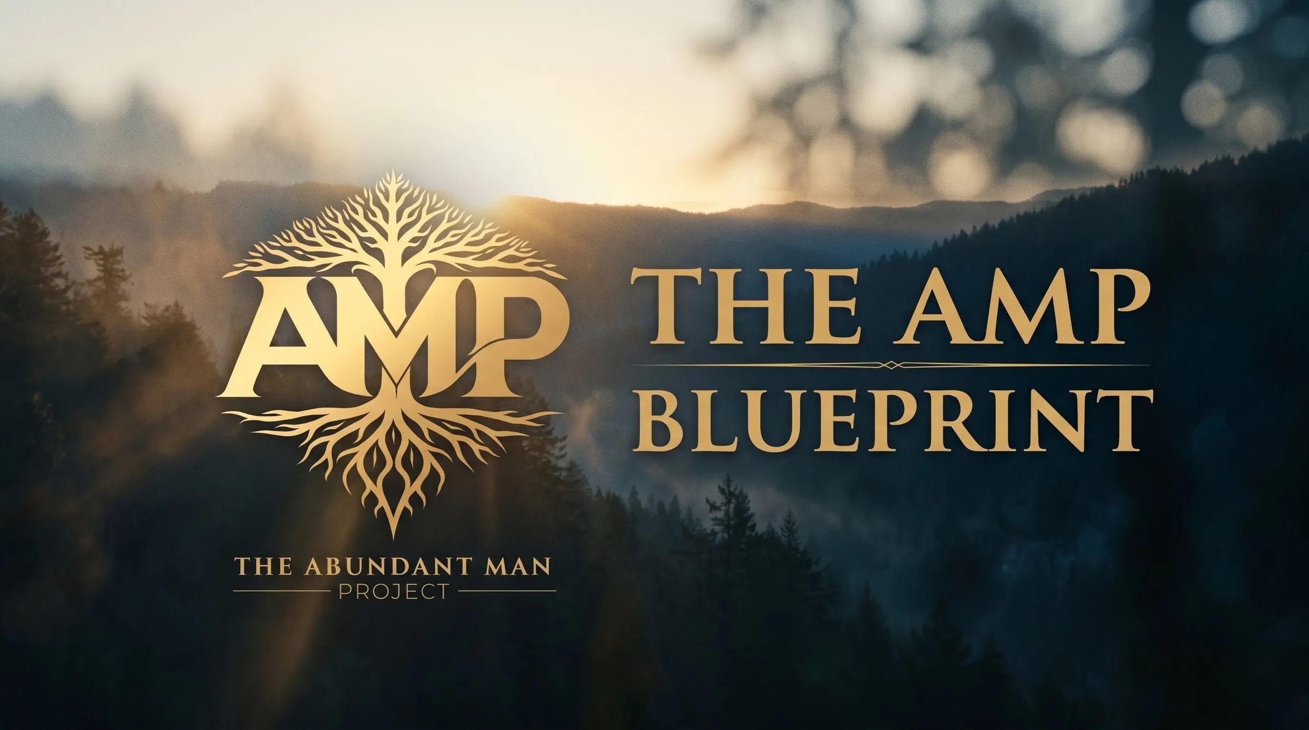 The Abundant Man Blueprint