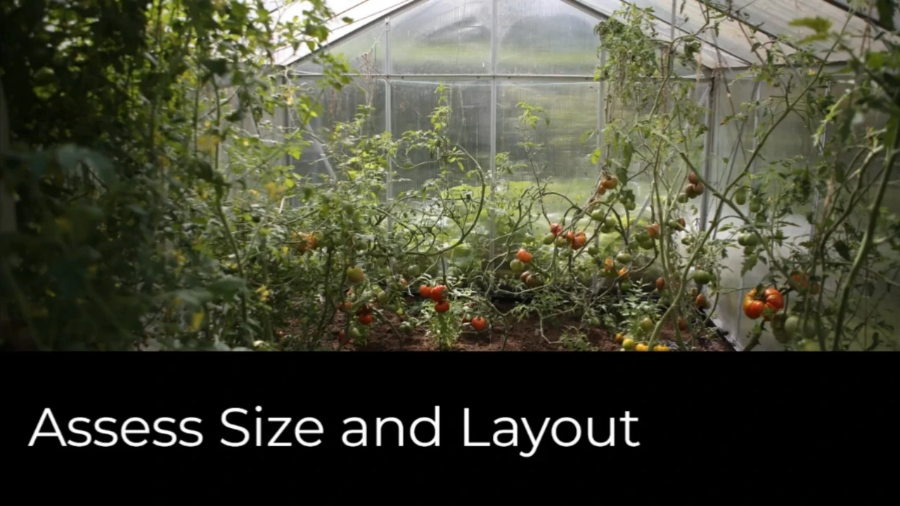 Assess Size and Layout lesson poster