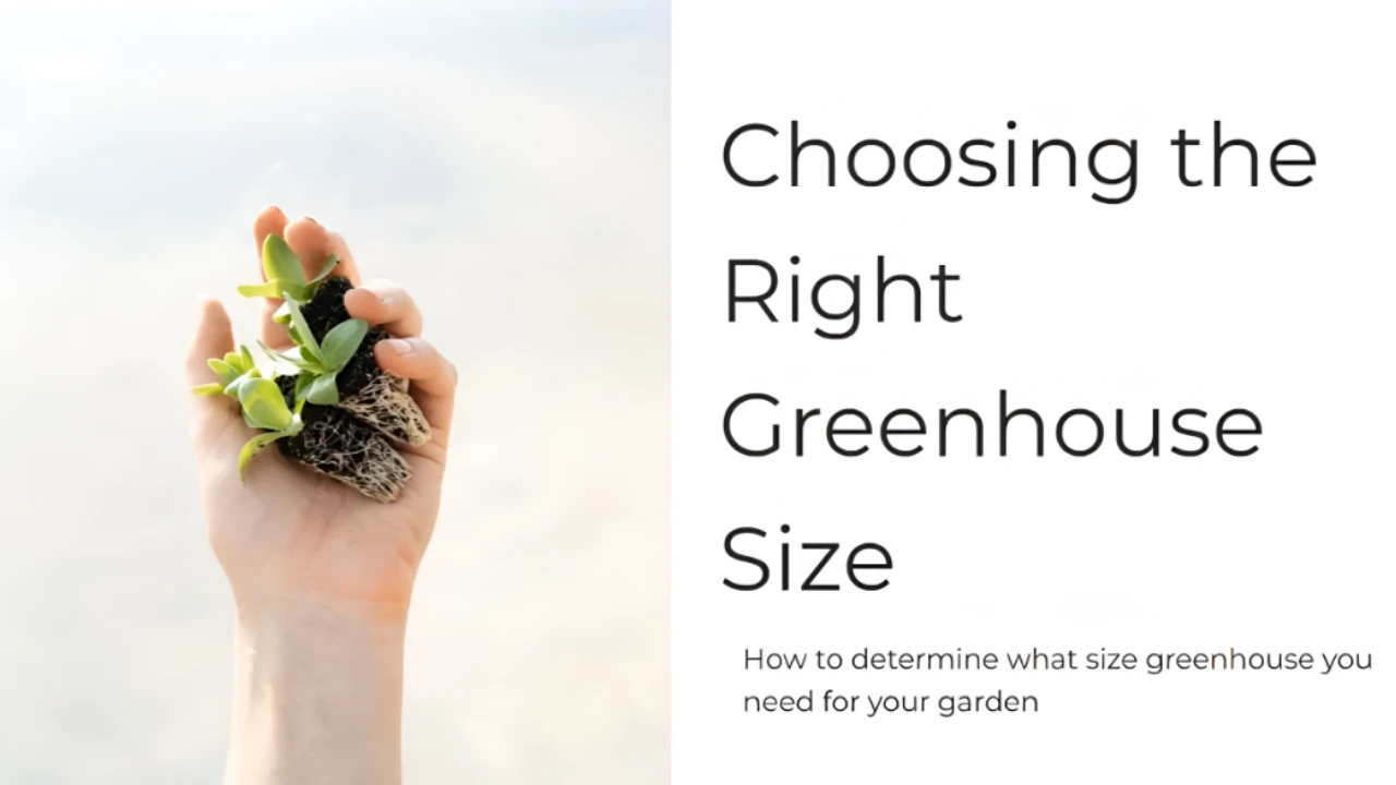 Assess Greenhouse Sizes lesson poster