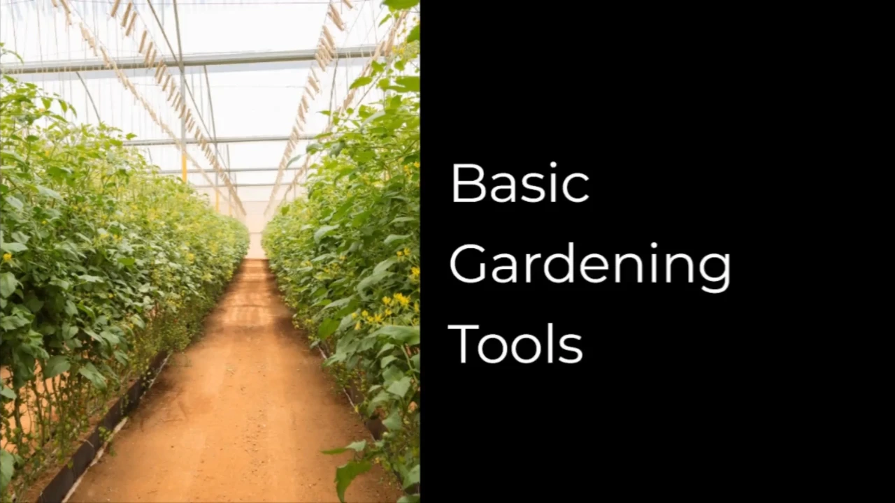 Basic Gardening Tools lesson poster