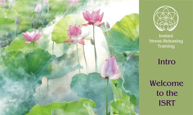 Welcome to the Clarity & Serenity Accelerator Training - Outline and Objectives lesson poster