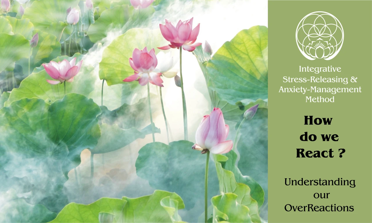 How Do We React? – Understanding Our Overreactions lesson poster