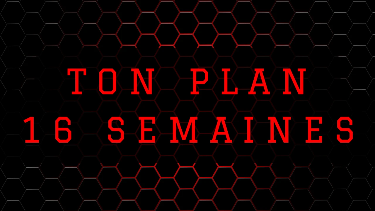 Ton plan de 16 semaines lesson poster