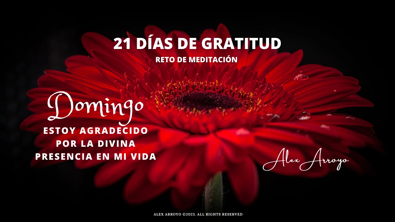 DOMINGO: ESTOY AGRADECIDO POR LA DIVINA PRESENCIA EN MI VIDA lesson poster