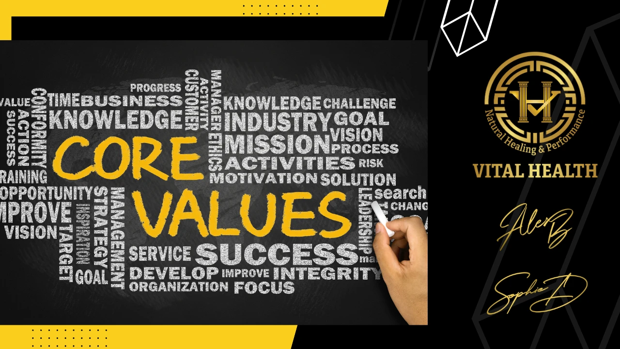 VH VALUES lesson poster