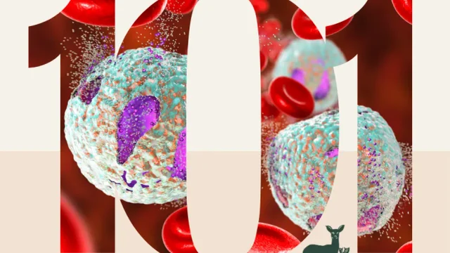 Incredible Immune System