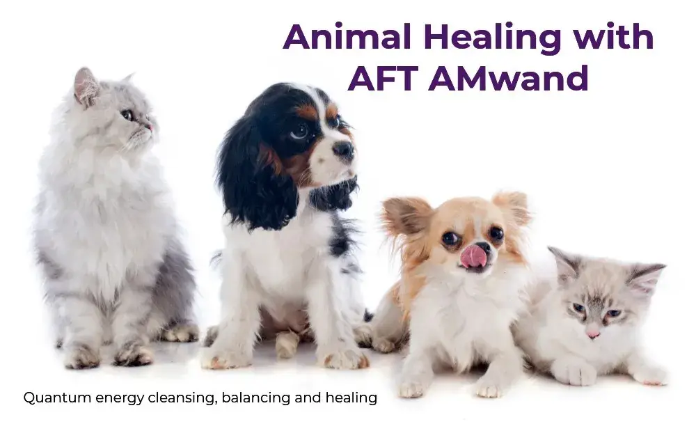 Self healing empowerment