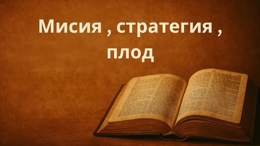 Мисия , стратегия , плод lesson poster