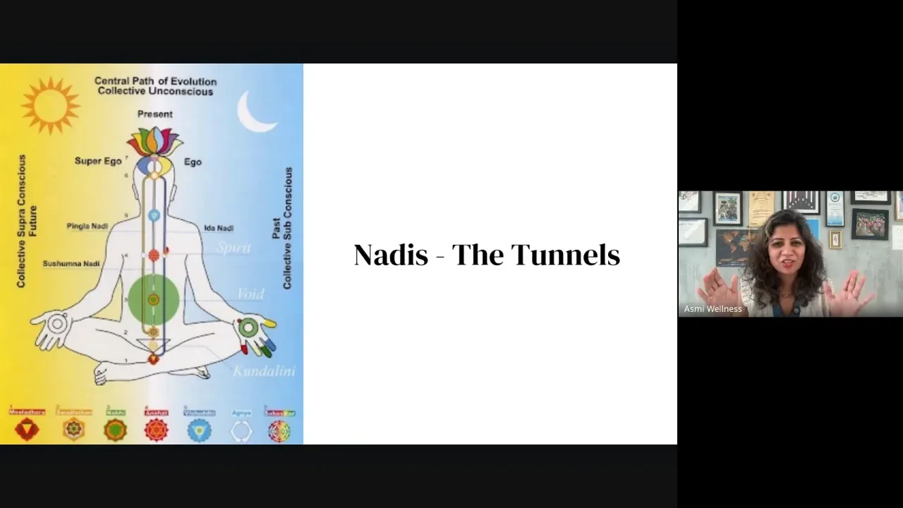 Energy System - Nadis the channels lesson poster