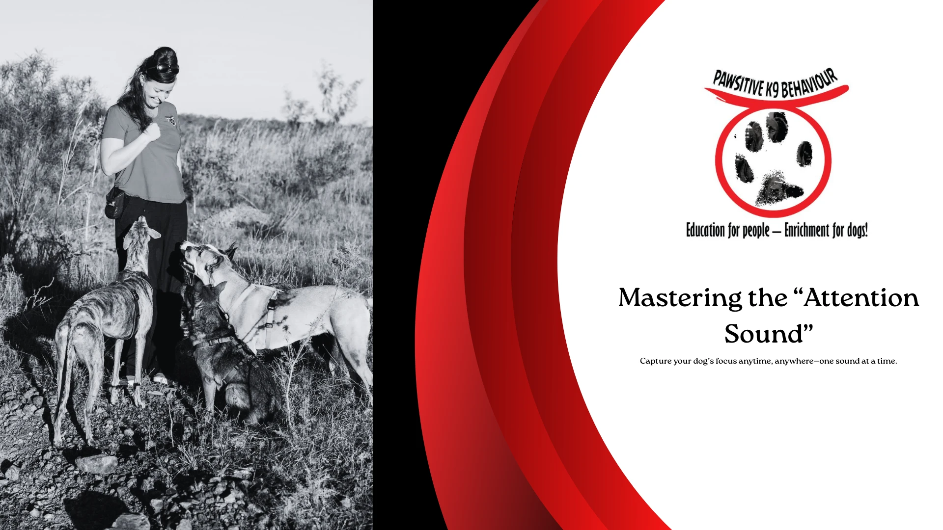 Course cover image