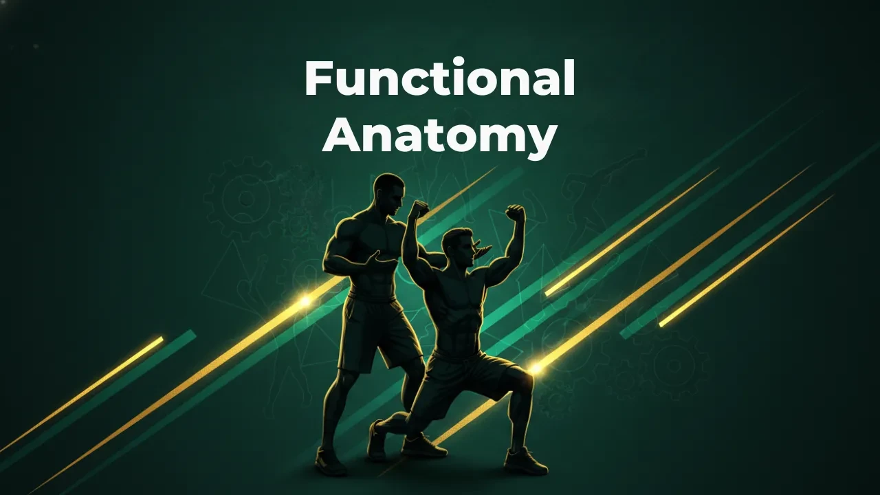 Functional Anatomy lesson poster