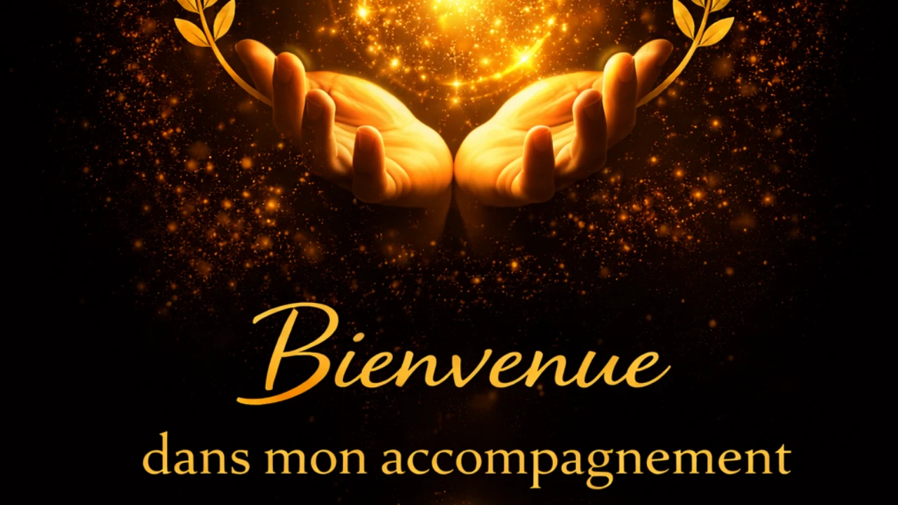 Bienvenue dans l'Aventure Renaissance ! lesson poster