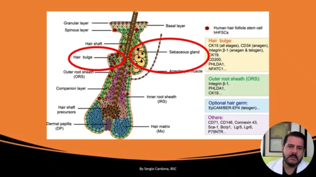 Segment Breakdown lesson poster