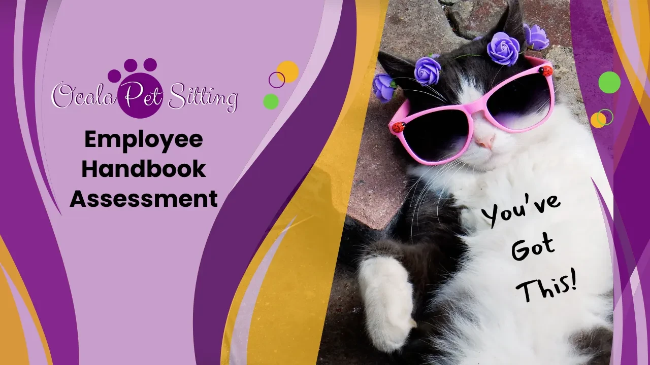Employee Handbook Assessment (5:00 min) lesson poster