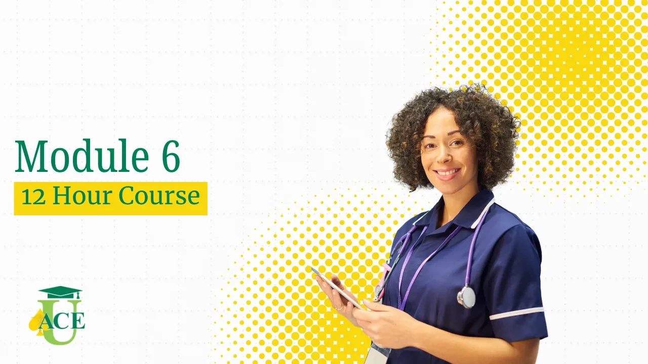 Module 6 lesson poster