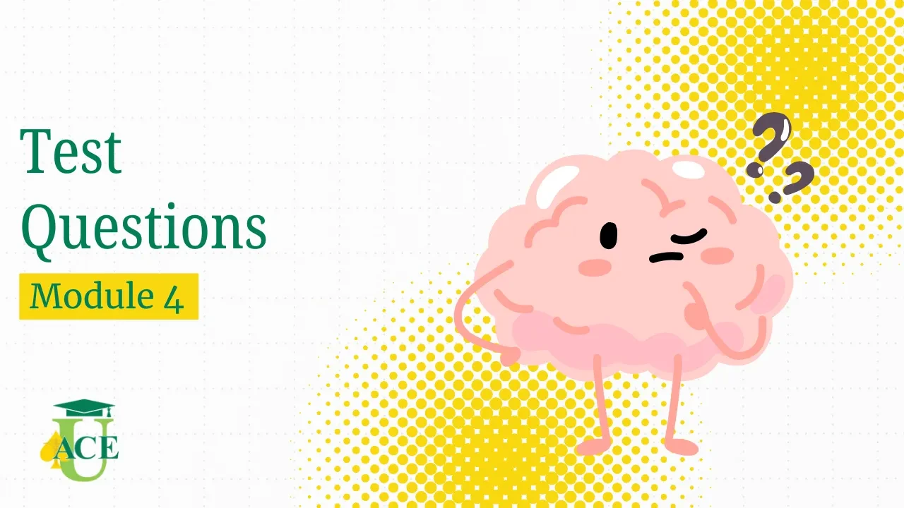 Test Questions Module 4 lesson poster