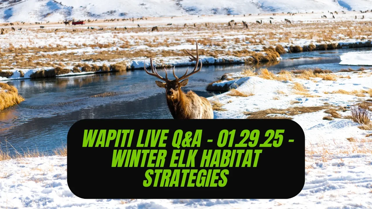 REPLAY Wapiti Live Q&A - 01.29.25 - Winter Elk Habitat Strategies lesson poster