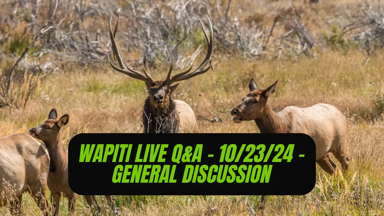 REPLAY Wapiti Live Q&A - 10.23.24 - General Discussion lesson poster