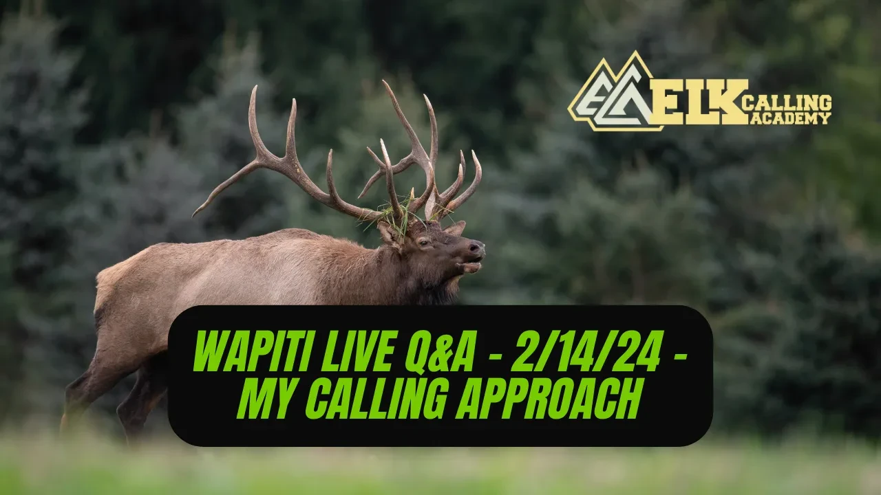 REPLAY - Wapiti Live Q&A - 2.14.24 - My Calling Approach and Philosophy lesson poster