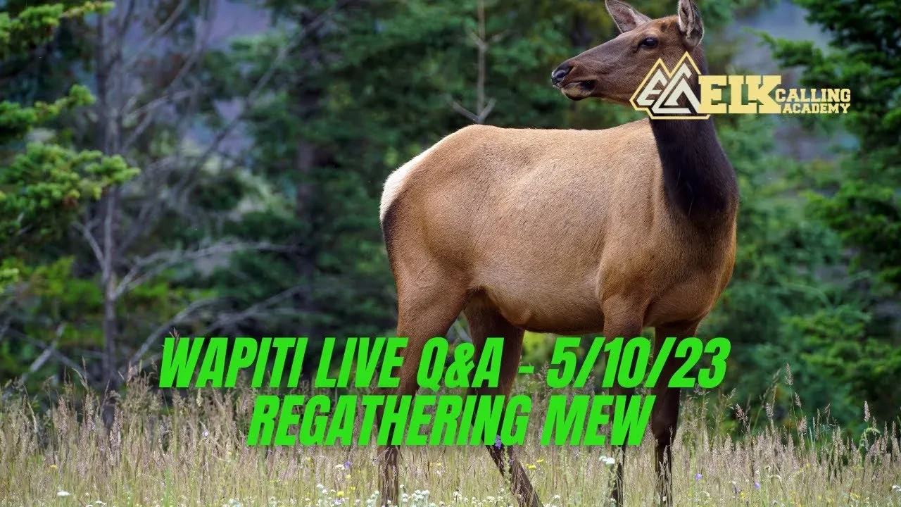REPLAY - Wapiti Live Q&A 5.10.23 - Regathering Mew lesson poster