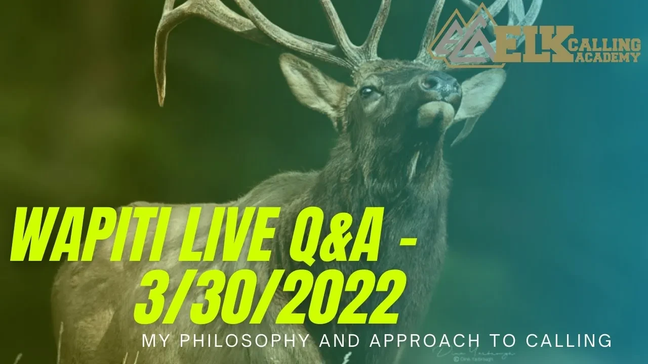 REPLAY - Wapiti Live Q&A - 3.30.22 - My Approach to Calling Elk lesson poster