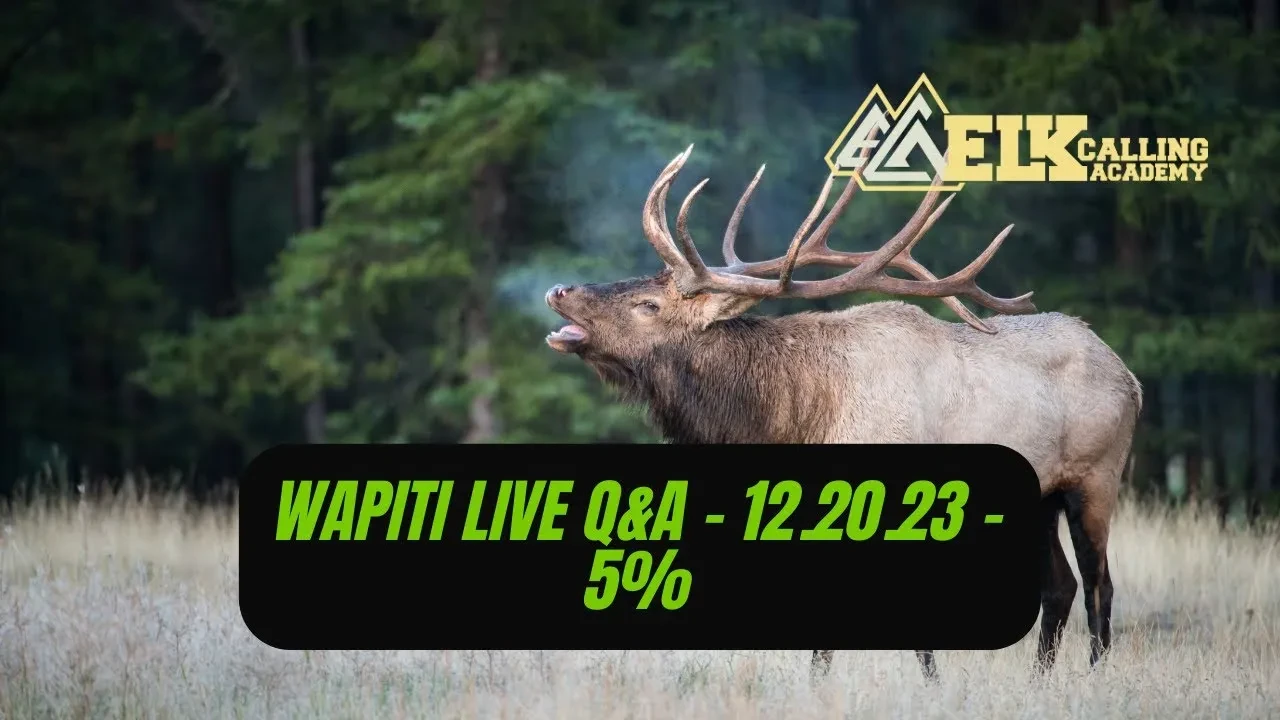 REPLAY - Wapiti Live Q&A - 12.20.23 - 5% lesson poster