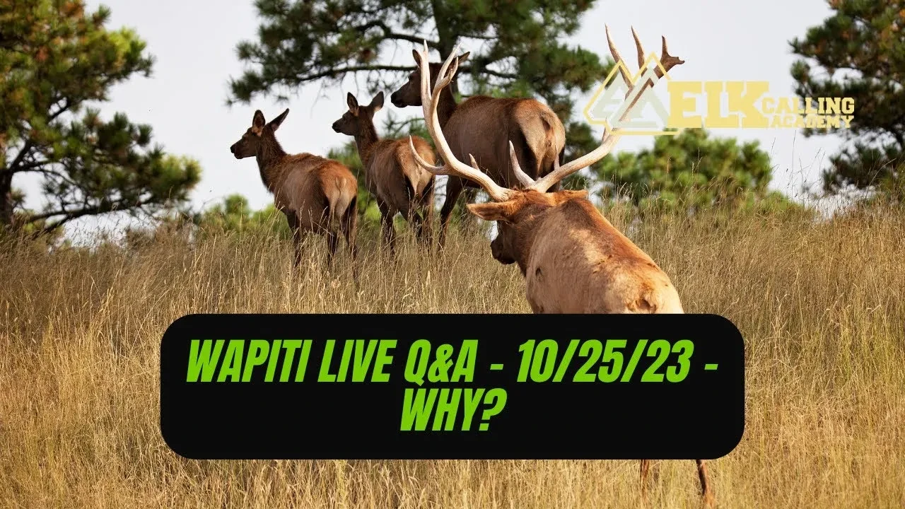 REPLAY - Wapiti Live Q&A - 10.25.23 - Why? lesson poster