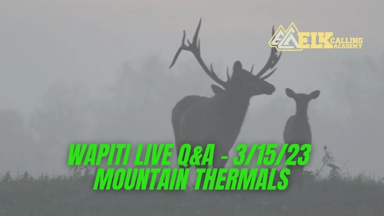 REPLAY - Wapiti Live Q&A - 3/15/23 - Mountain Thermals lesson poster