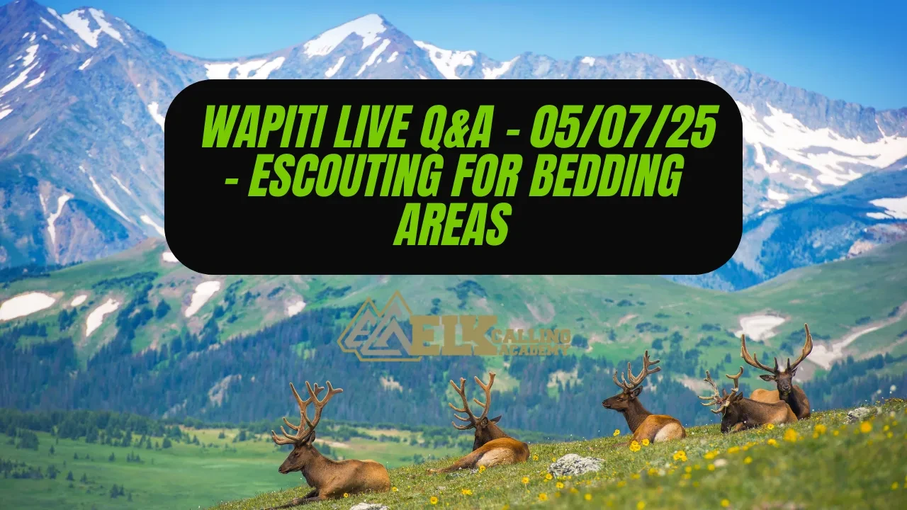 REPLAY - Wapiti Live Q&A - 5/07/2025 - eScouting for Bedding Areas lesson poster