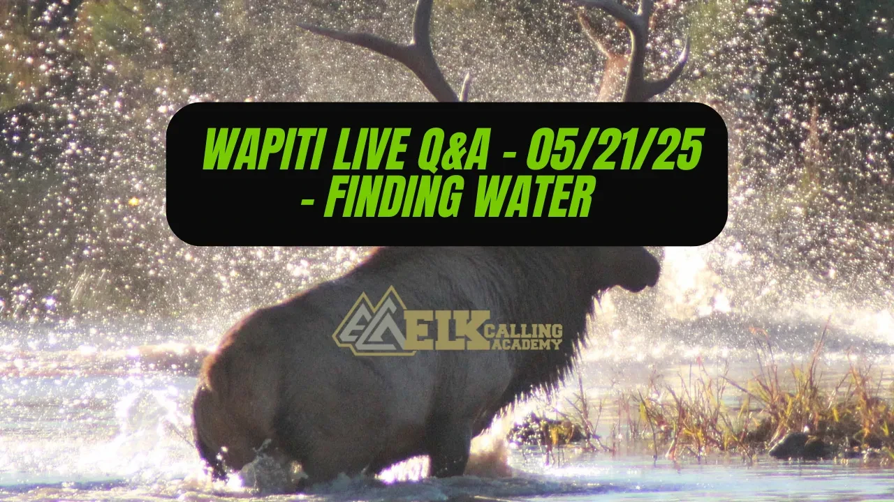 REPLAY - Wapiti Live Q&A - 05.21.25 - Finding Water Sources! lesson poster