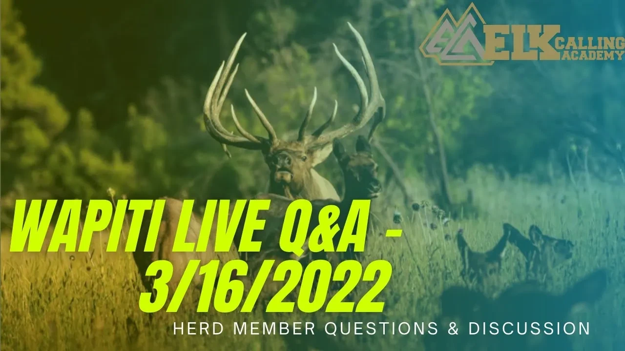 REPLAY - Wapiti Live Q&A - 3/16/2022 - Herd Questions lesson poster