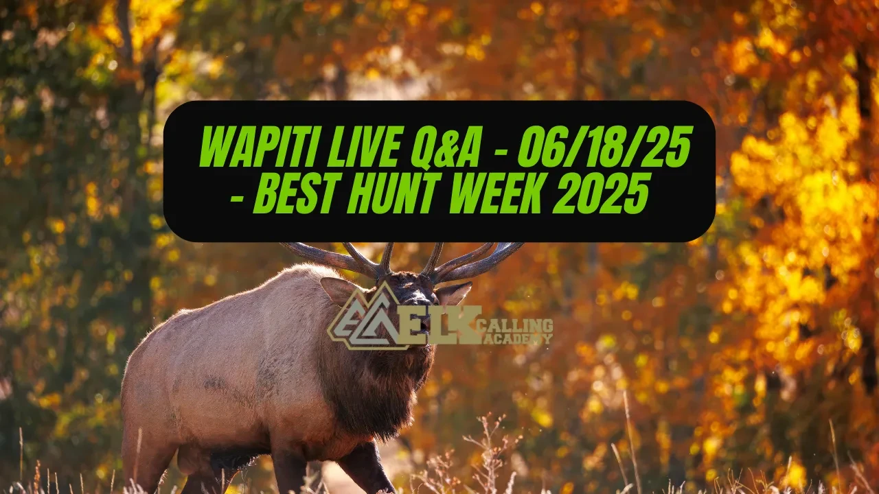 REPLAY - Wapiti Live Q&A - 06.18.25 - Best Week to Hunt Elk in 2025! lesson poster