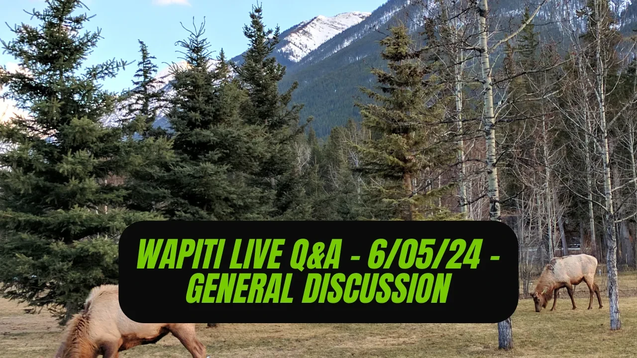 REPLAY - Wapiti Live Q&A - 6.05.24 - General Discussion lesson poster