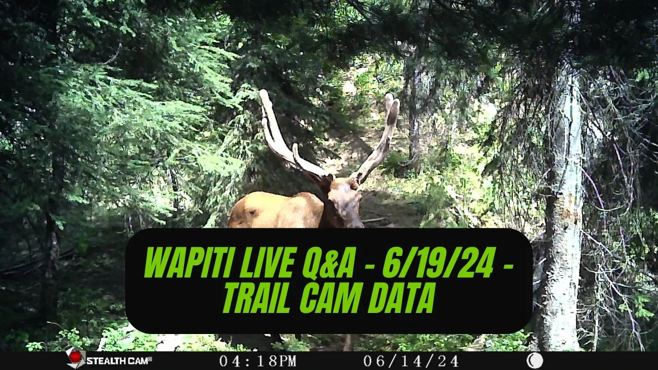 REPLAY - Wapiti Live Q&A - 6.19.24 - Trail Camera Data Collection lesson poster