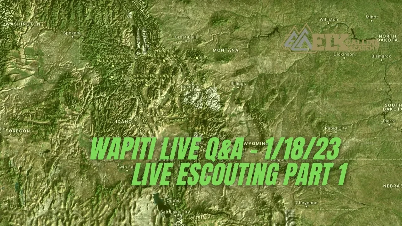 REPLAY - Wapiti Live Q&A - 1.18.23 - eScouting Part 1 lesson poster