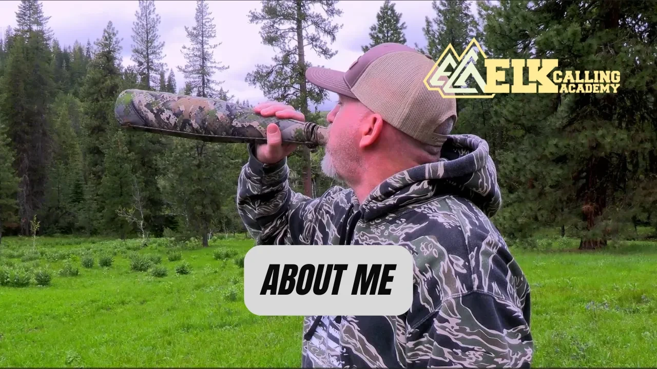 About Me lesson poster
