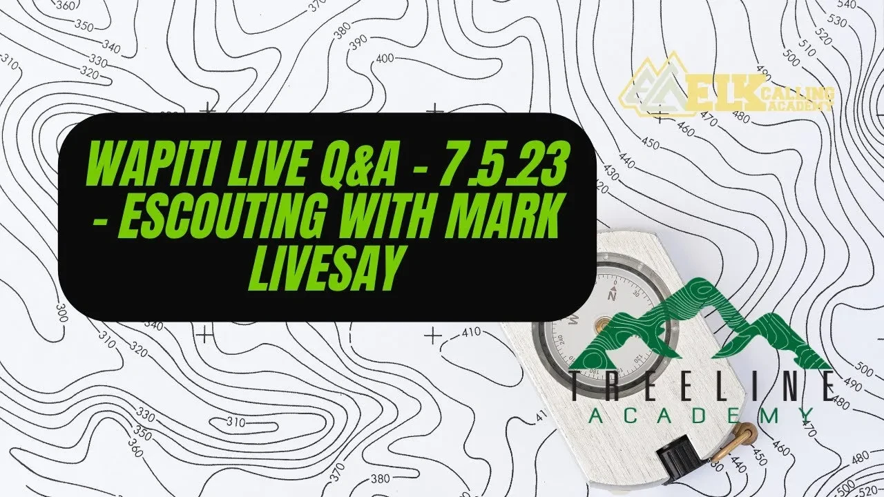 REPLAY - Wapiti Live Q&A - 7.5.23 - eScouting with Mark Livesay lesson poster