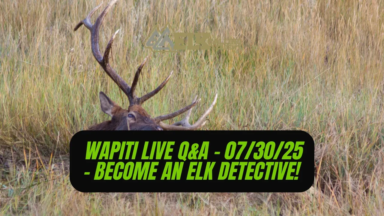 REPLAY - Wapiti Live Q&A - 07.30.25 - Become an Elk Detective! lesson poster