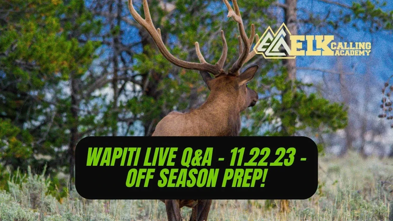 REPLAY - Wapiti Live Q&A - 11.22.23 - Off Season Prep! lesson poster