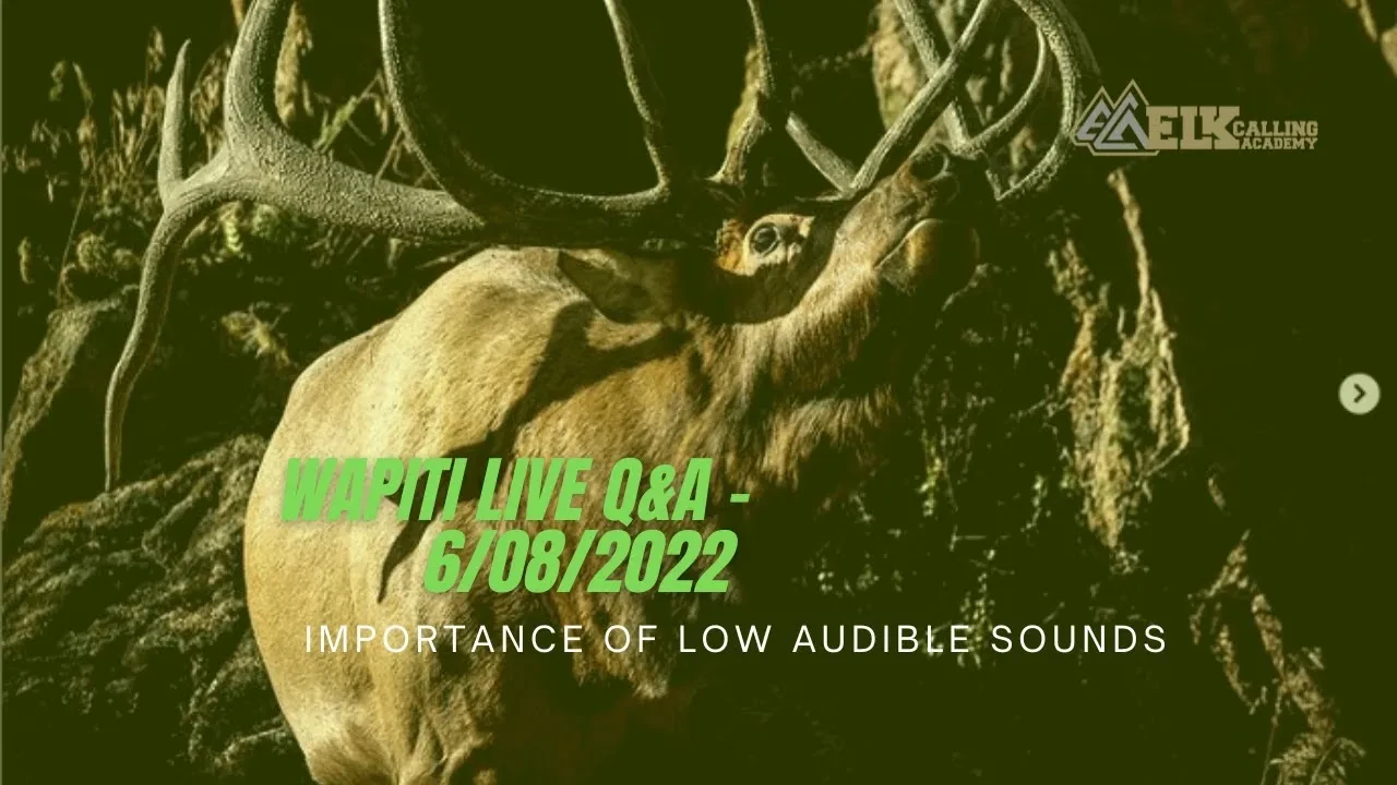 REPLAY - Wapiti Live Q&A - 6.8.22 - Low Audible Elk Sounds lesson poster