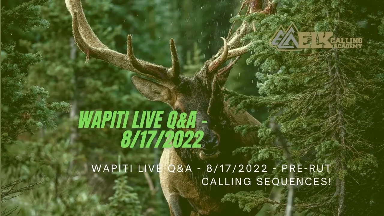 Wapiti Live Q&A - 8/17/2022 - Pre-Rut Calling Sequences! lesson poster