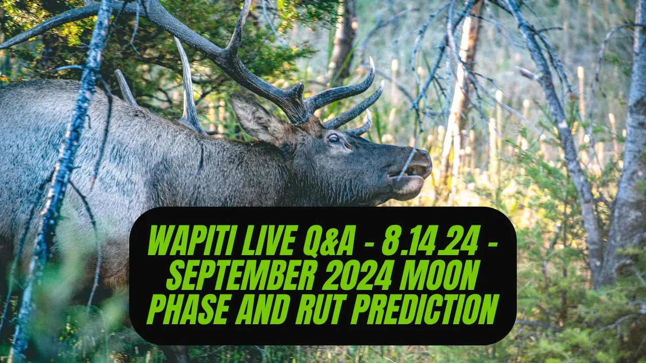 REPLAY - Wapiti Live Q&A - 8.14.24 - September 2024 Moon Phase and Rut Prediction lesson poster