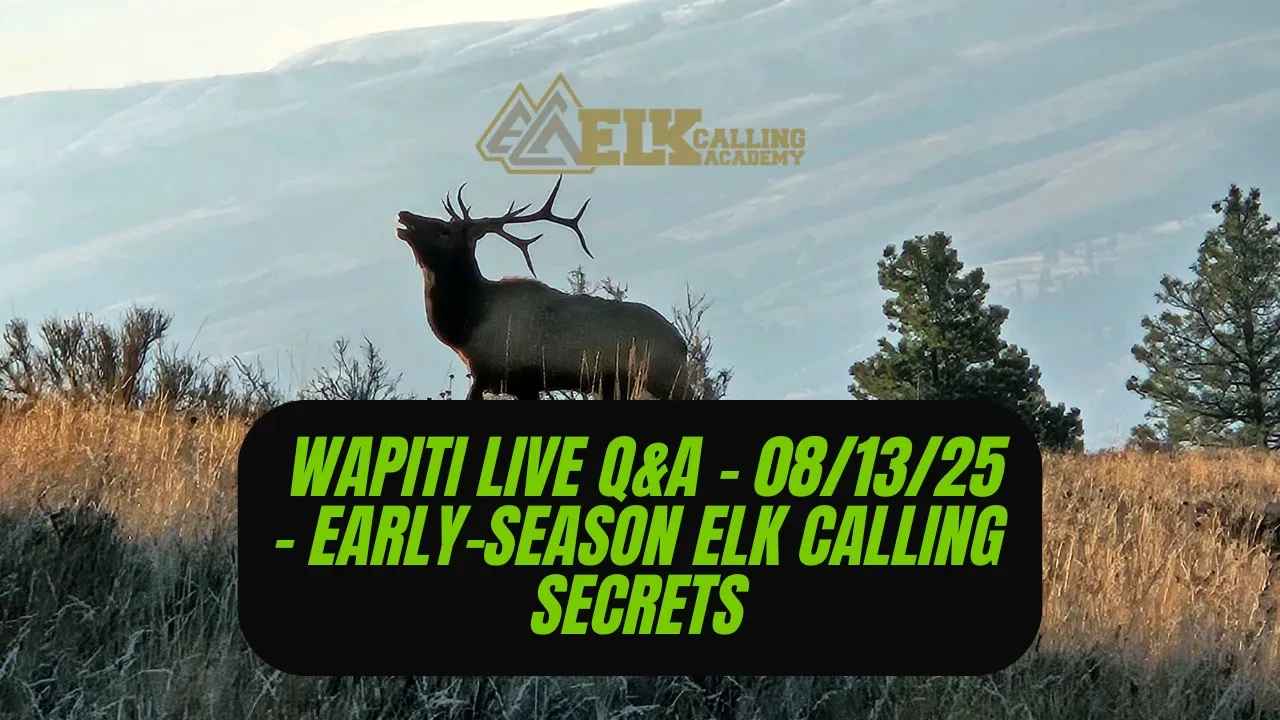 REPLAY - Wapiti Live Q&A - 08.13.25 - Early-Season Elk Calling Secrets lesson poster