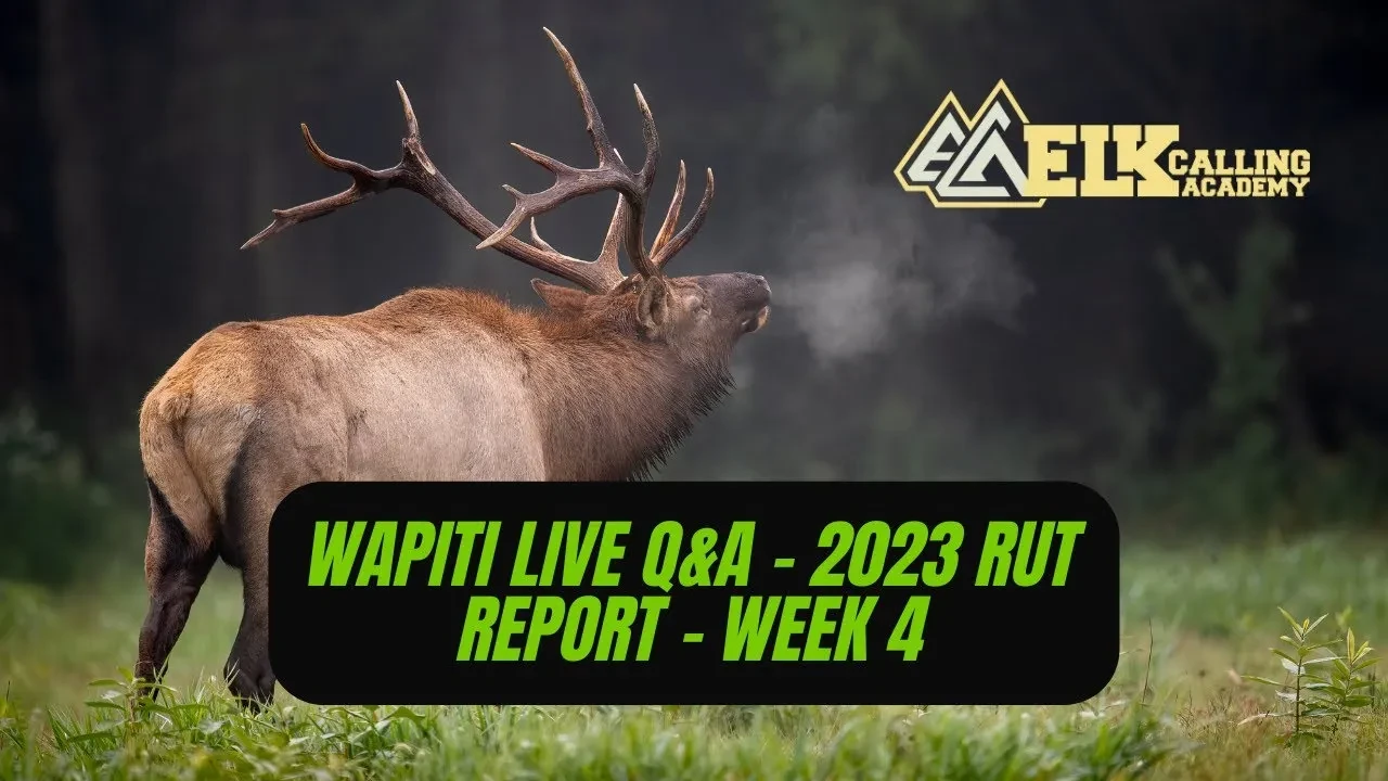 REPLAY - Wapiti Live Q&A - 2023 Rut Report - Week 4 lesson poster