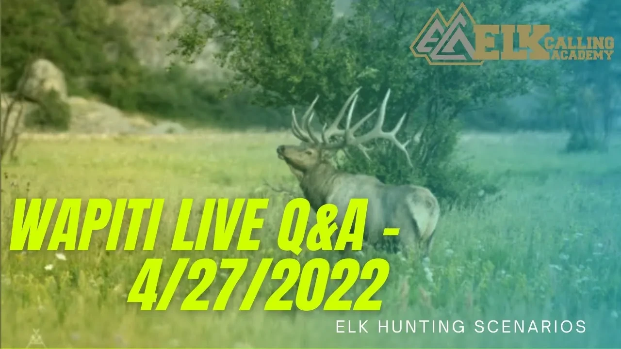 REPLAY - Wapiti Live Q&A - 4.27.2022 - Elk Hunting Scenarios lesson poster