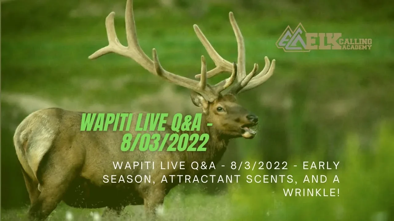 REPLAY - Wapiti Live Q&A - 8/3/2022 - Early Season, Attractant Scents, and a Wrinkle! lesson poster